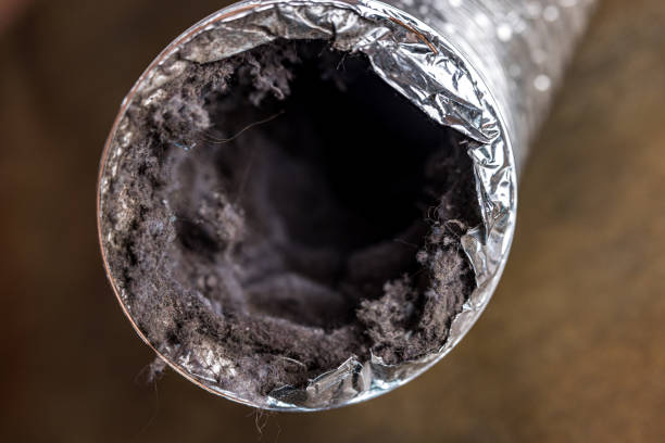 Best Duct Cleaning for Offices  in Bronte, TX